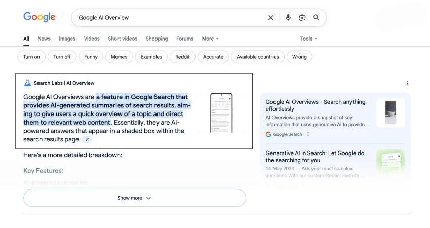Google AI Overview Screenshot